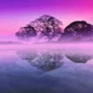 Meet your Posher, Sonia